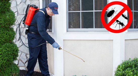 Seferihisar Hamam Böceği İlaçlama böcek ilaçlama ve haşere kontrolü — ilaclama-tr.com
